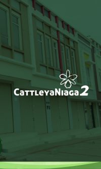 Cattleya Niaga 2