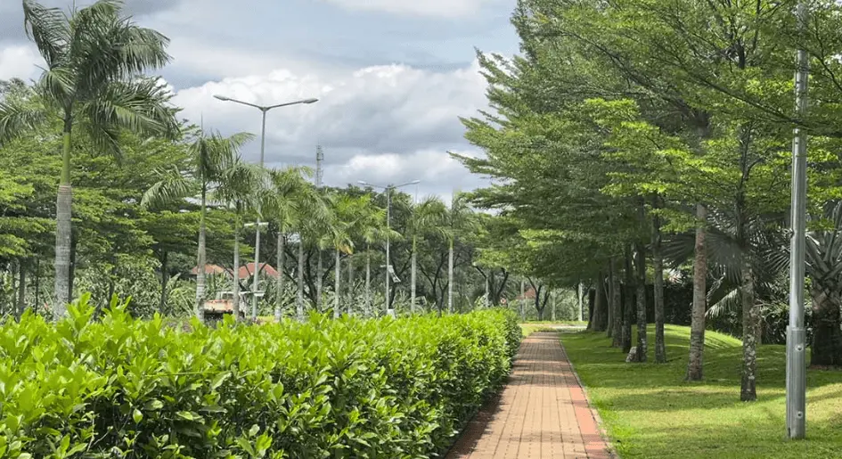 Jogging Track di Serpong Natura City