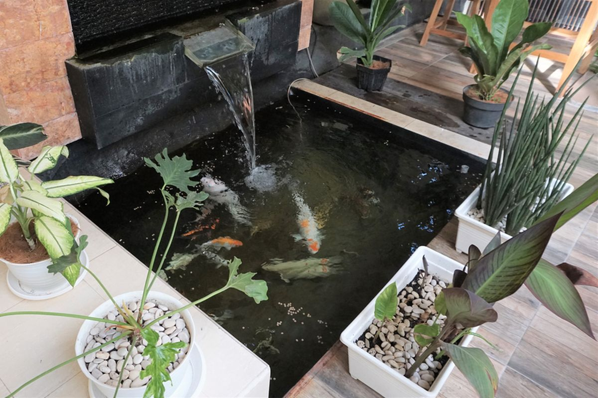 Kolam ikan dengan air mancur di teras rumah