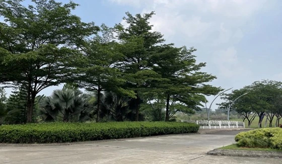 Lingkungan Asri di Serpong Natura City