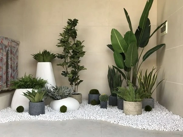 Contoh Taman bernuansa putih minimalis