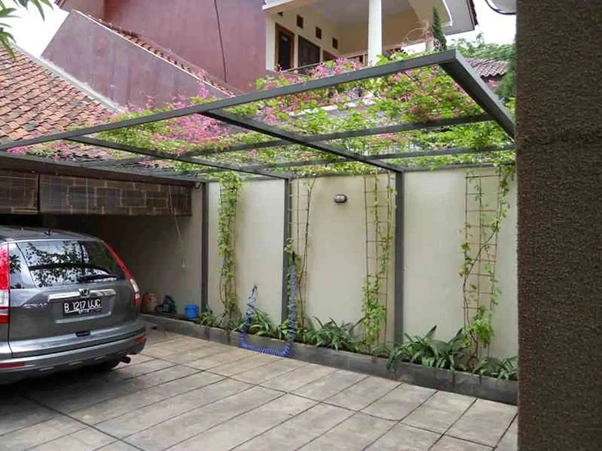 Contoh Kanopi tanaman rambat