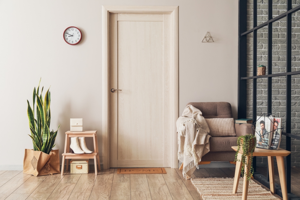 Flush Door