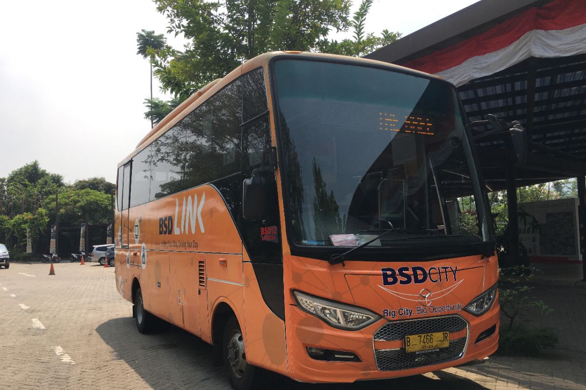 bus trans BSD