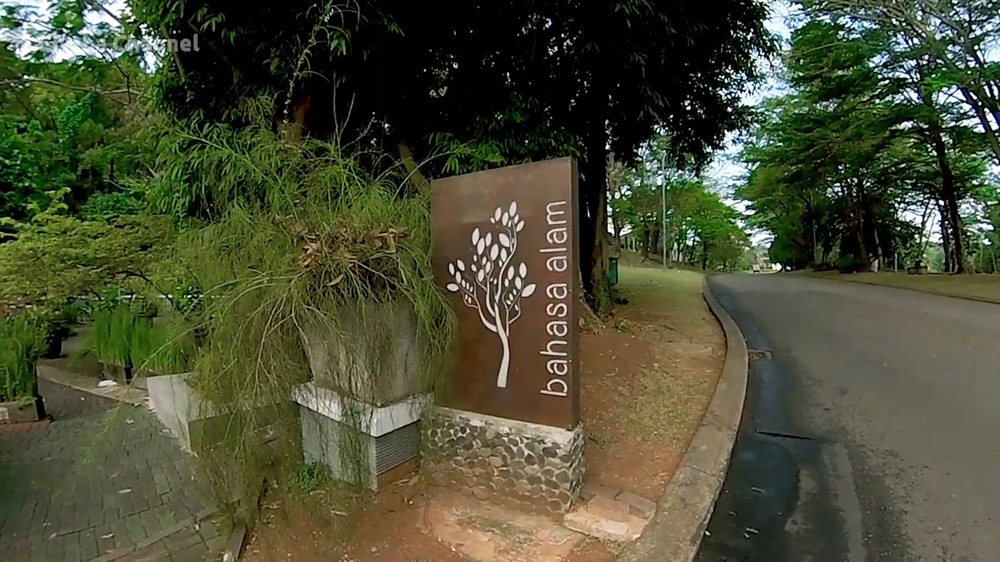 Back to Nature Cafe