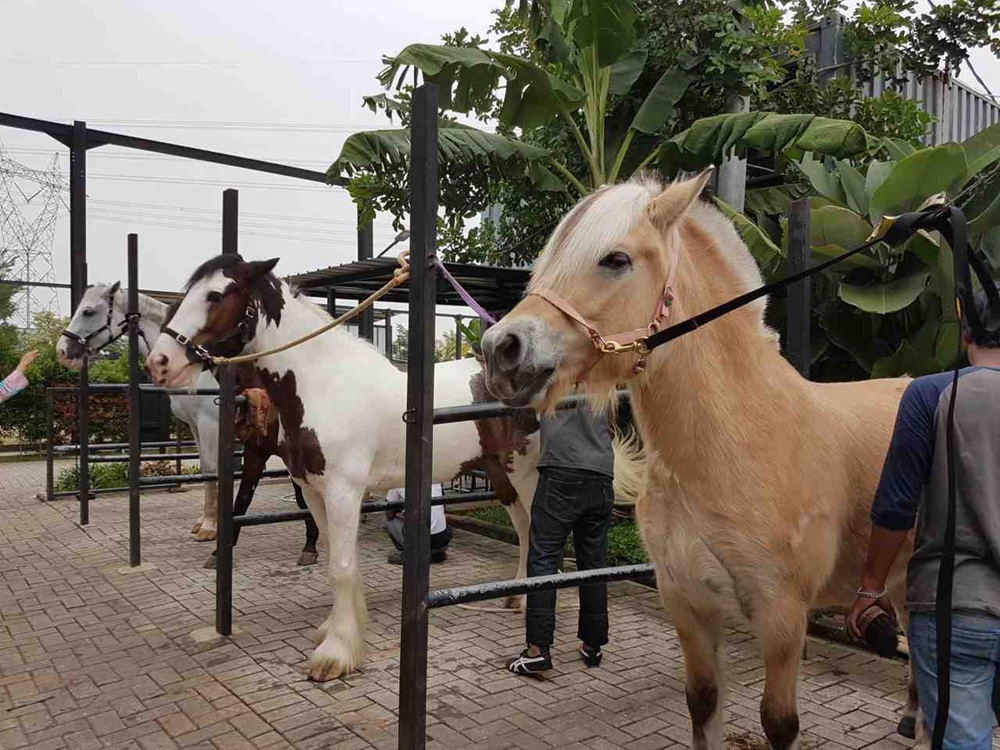 Branchsto Equestrian Park