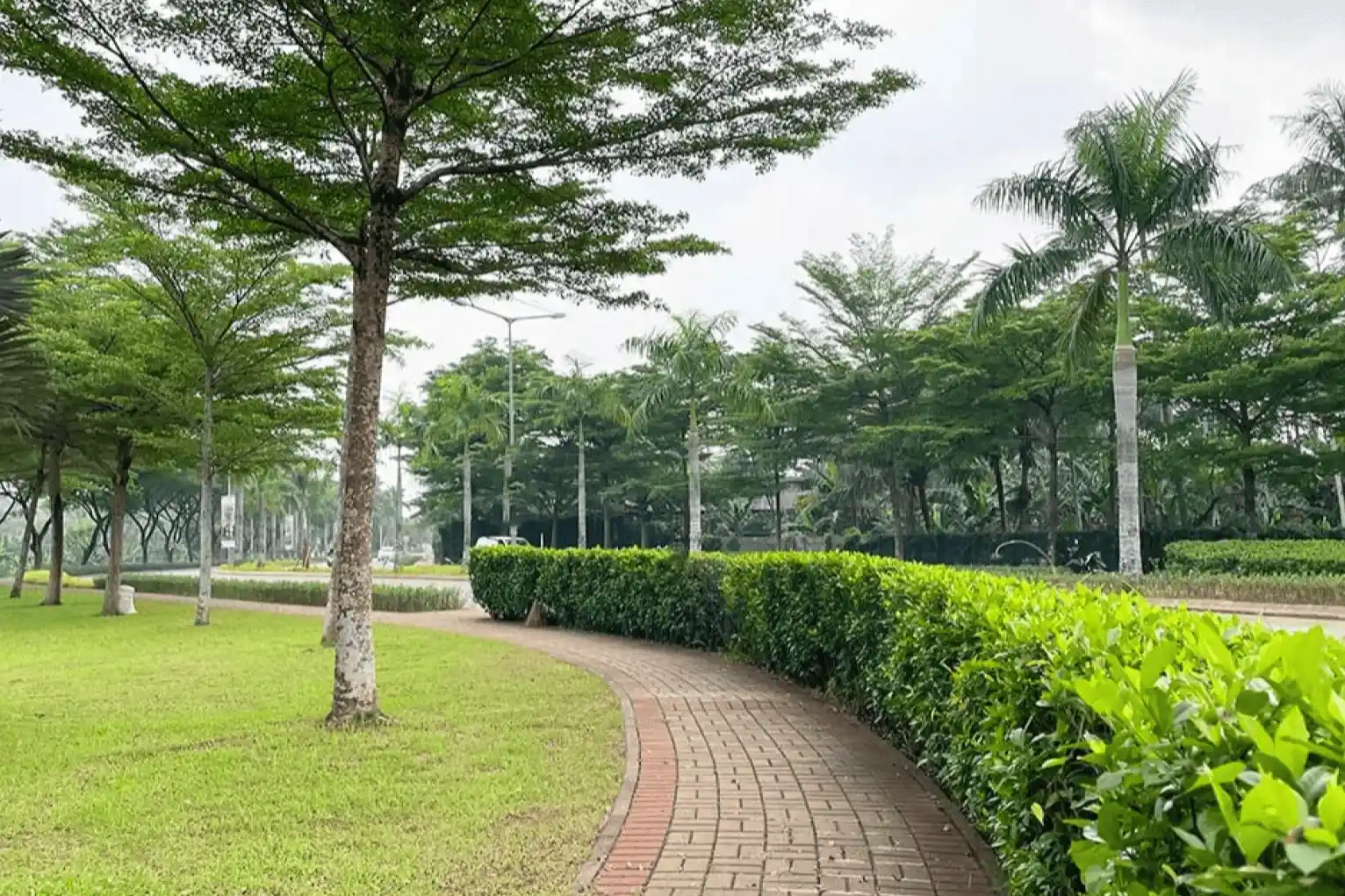 Jogging Track di SNC